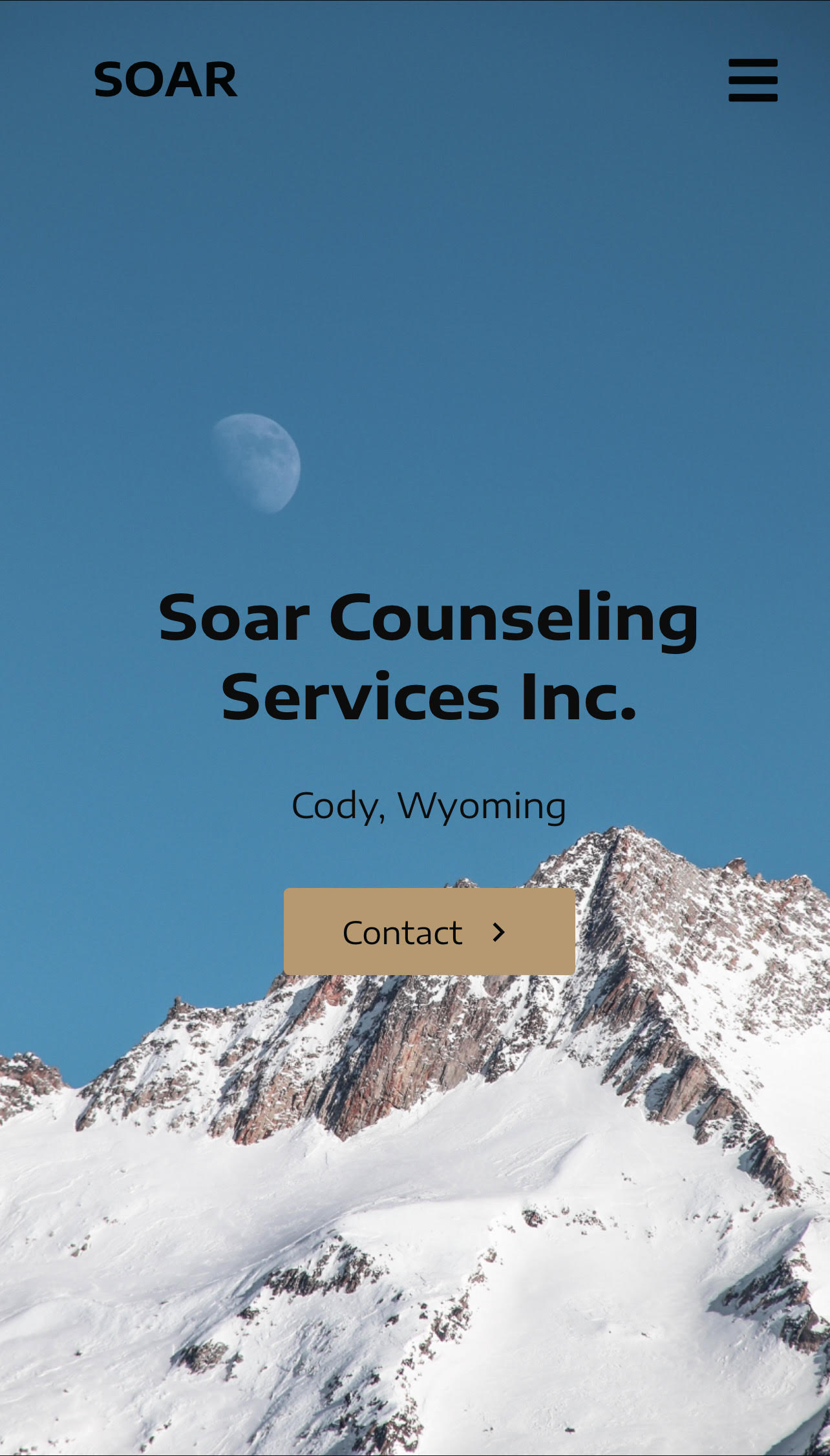 Soar Counseling Services Inc.